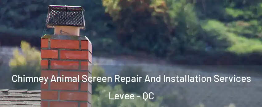 Chimney Animal Screen Repair And Installation Services Levee - QC