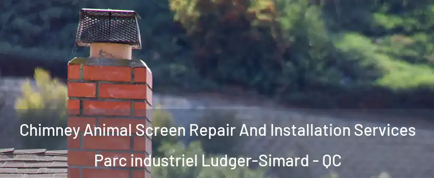  Chimney Animal Screen Repair And Installation Services Parc industriel Ludger-Simard - QC