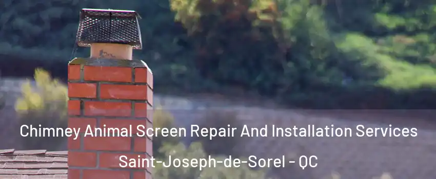  Chimney Animal Screen Repair And Installation Services Saint-Joseph-de-Sorel - QC