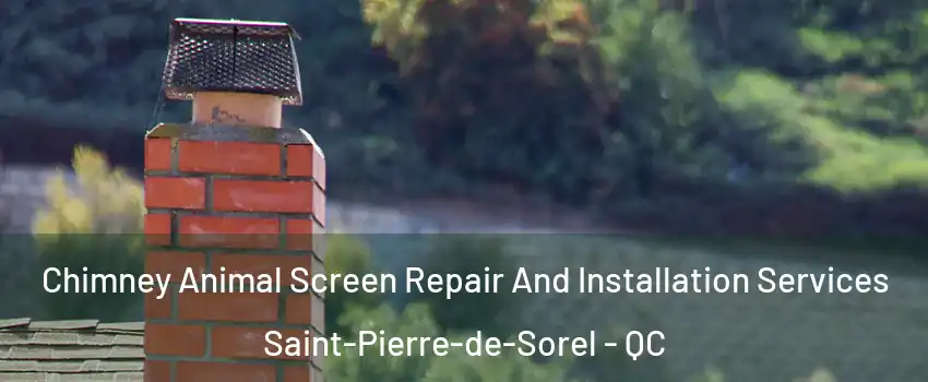  Chimney Animal Screen Repair And Installation Services Saint-Pierre-de-Sorel - QC