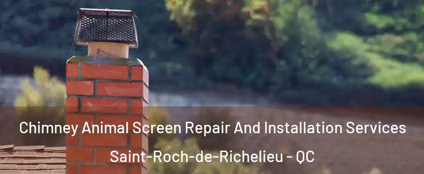  Chimney Animal Screen Repair And Installation Services Saint-Roch-de-Richelieu - QC