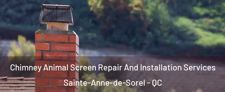  Chimney Animal Screen Repair And Installation Services Sainte-Anne-de-Sorel - QC
