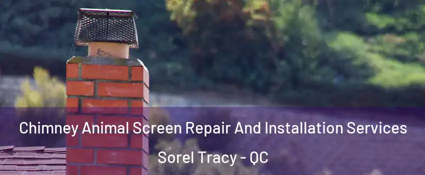  Chimney Animal Screen Repair And Installation Services Sorel Tracy - QC