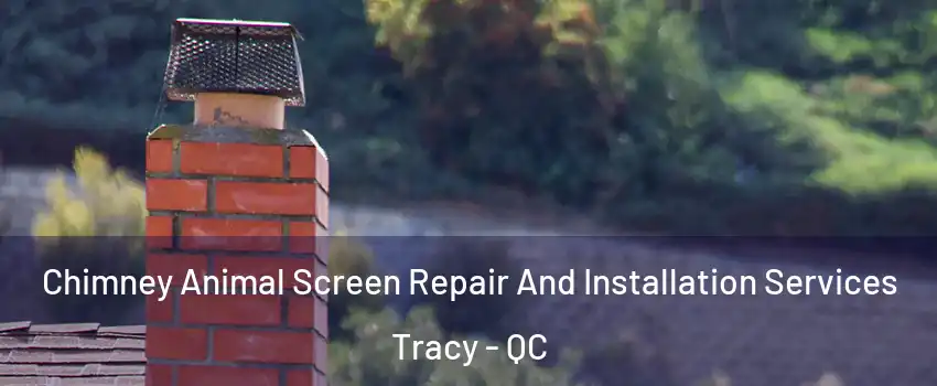  Chimney Animal Screen Repair And Installation Services Tracy - QC