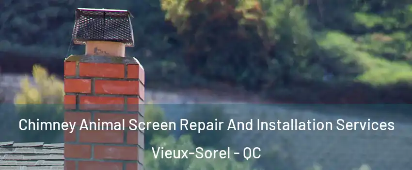  Chimney Animal Screen Repair And Installation Services Vieux-Sorel - QC