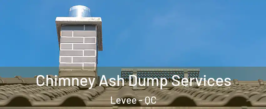  Chimney Ash Dump Services Levee - QC