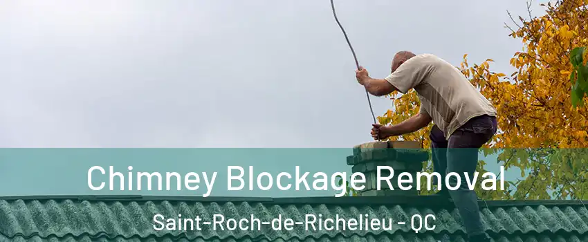  Chimney Blockage Removal Saint-Roch-de-Richelieu - QC