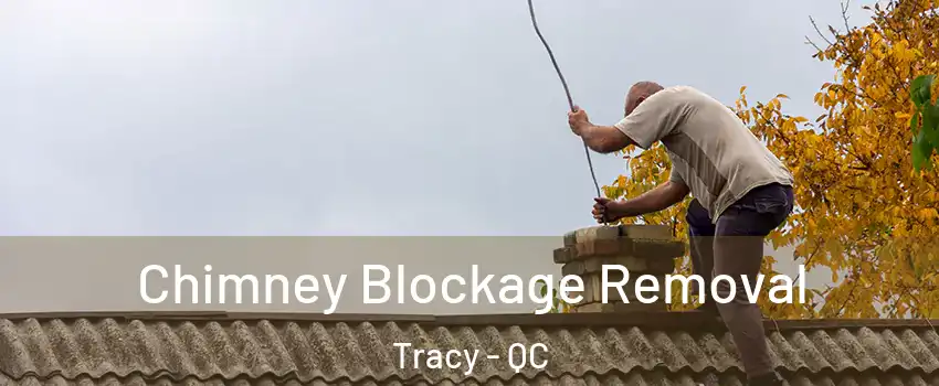 Chimney Blockage Removal Tracy - QC