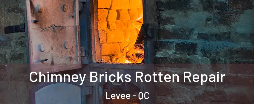  Chimney Bricks Rotten Repair Levee - QC