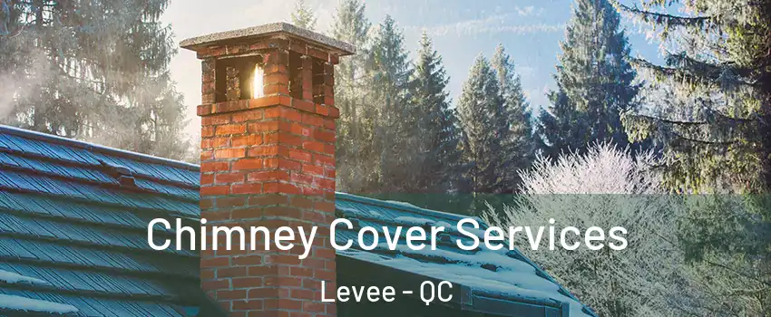  Chimney Cover Services Levee - QC