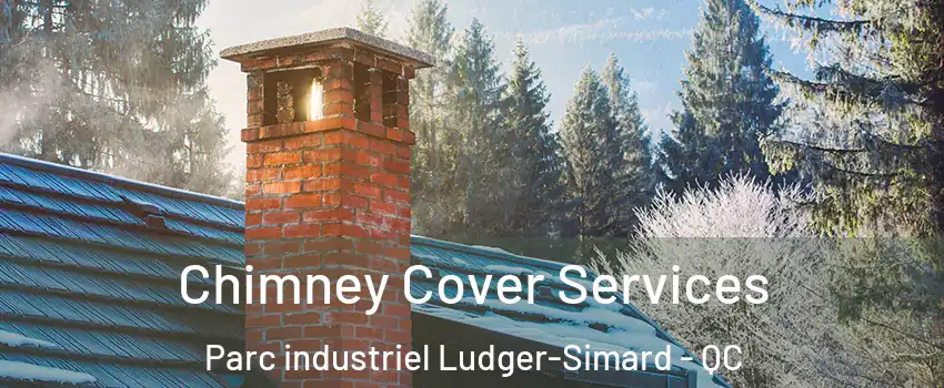  Chimney Cover Services Parc industriel Ludger-Simard - QC