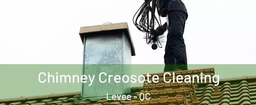  Chimney Creosote Cleaning Levee - QC