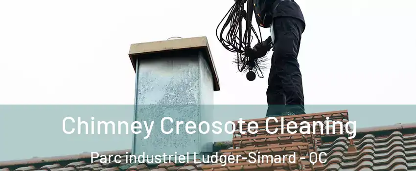  Chimney Creosote Cleaning Parc industriel Ludger-Simard - QC
