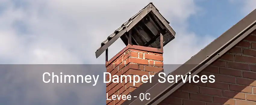  Chimney Damper Services Levee - QC