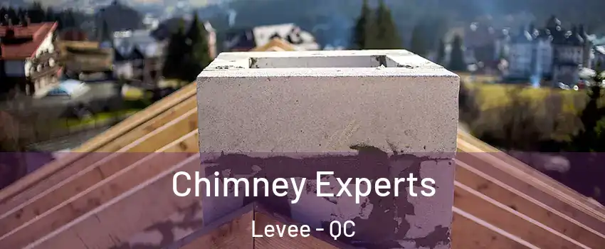  Chimney Experts Levee - QC