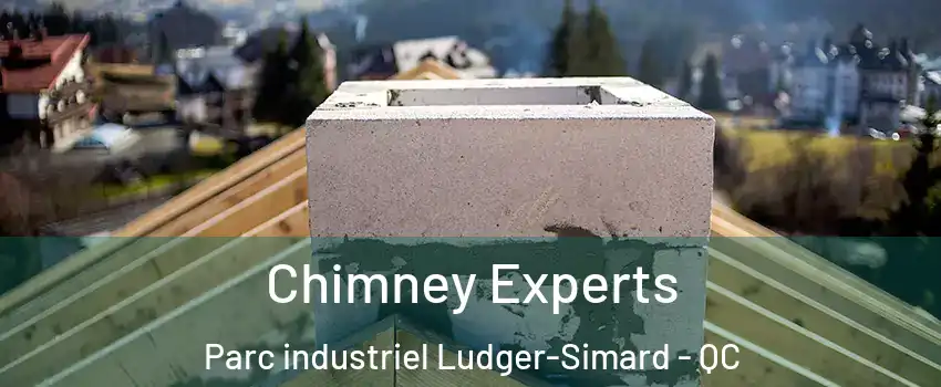  Chimney Experts Parc industriel Ludger-Simard - QC