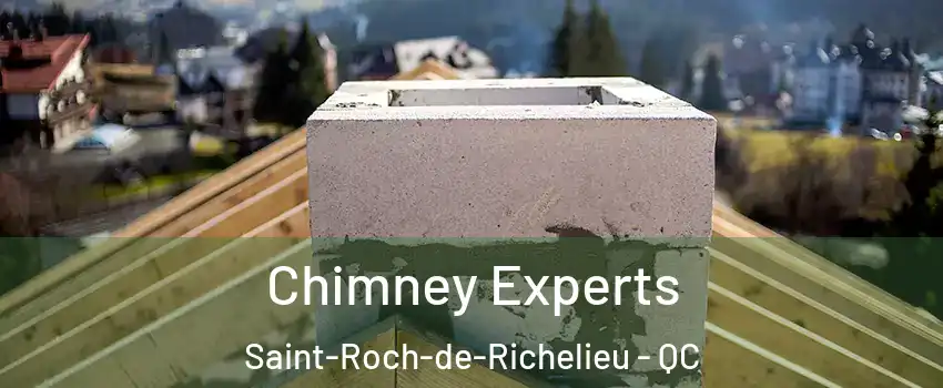  Chimney Experts Saint-Roch-de-Richelieu - QC