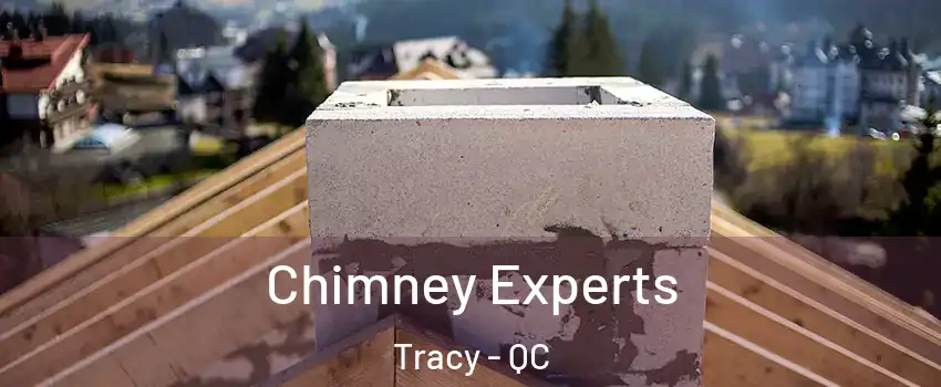  Chimney Experts Tracy - QC