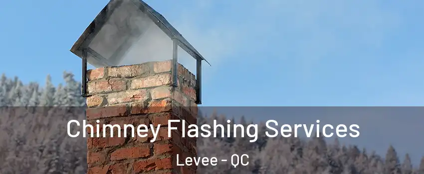 Chimney Flashing Services Levee - QC