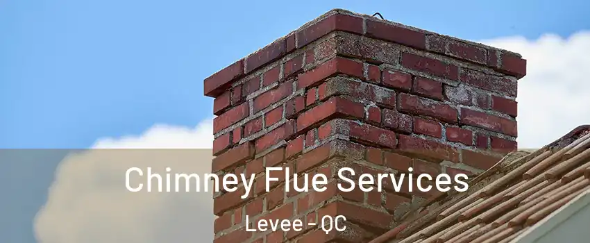  Chimney Flue Services Levee - QC
