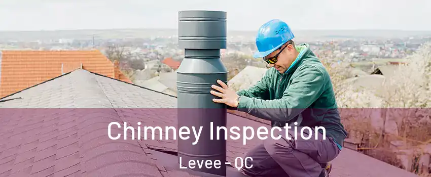  Chimney Inspection Levee - QC