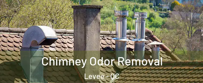  Chimney Odor Removal Levee - QC