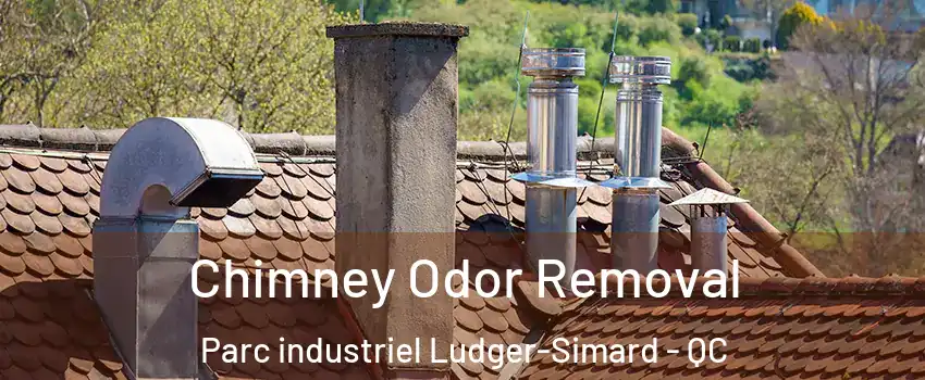  Chimney Odor Removal Parc industriel Ludger-Simard - QC