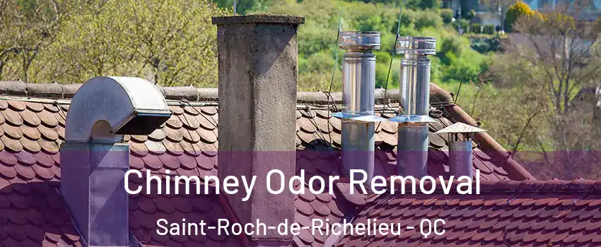  Chimney Odor Removal Saint-Roch-de-Richelieu - QC