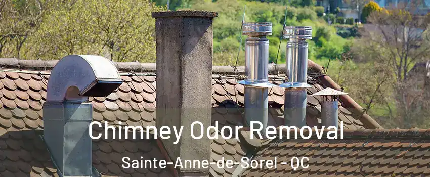  Chimney Odor Removal Sainte-Anne-de-Sorel - QC