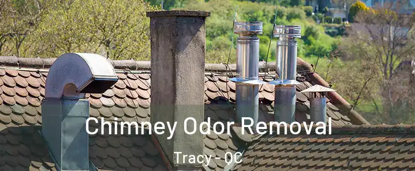  Chimney Odor Removal Tracy - QC
