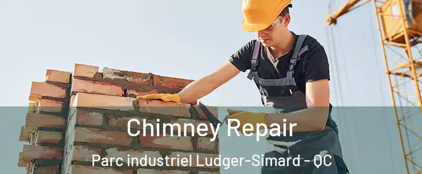  Chimney Repair Parc industriel Ludger-Simard - QC