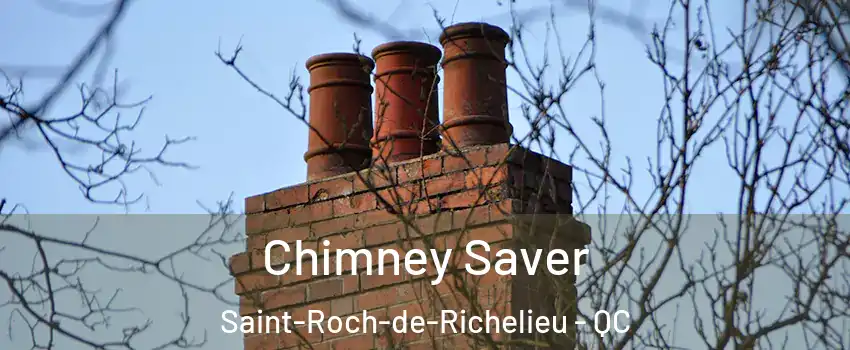  Chimney Saver Saint-Roch-de-Richelieu - QC