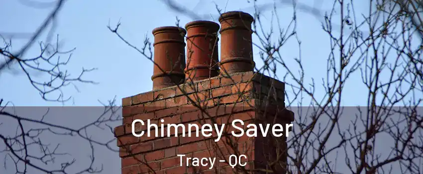  Chimney Saver Tracy - QC