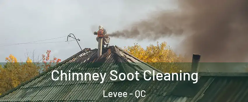  Chimney Soot Cleaning Levee - QC