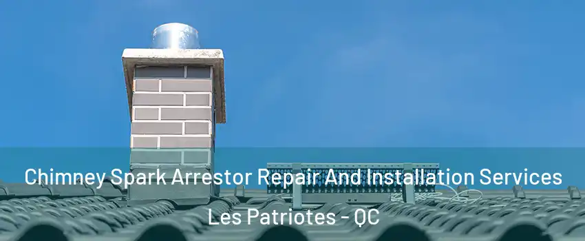  Chimney Spark Arrestor Repair And Installation Services Les Patriotes - QC