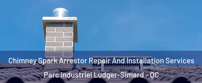  Chimney Spark Arrestor Repair And Installation Services Parc industriel Ludger-Simard - QC