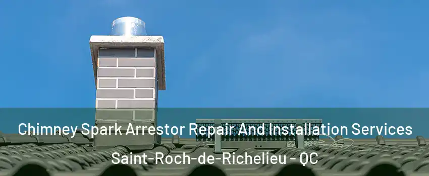  Chimney Spark Arrestor Repair And Installation Services Saint-Roch-de-Richelieu - QC