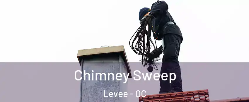  Chimney Sweep Levee - QC