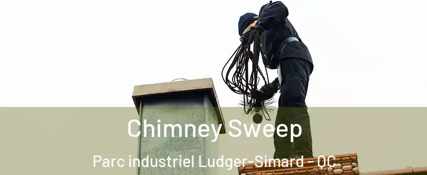  Chimney Sweep Parc industriel Ludger-Simard - QC