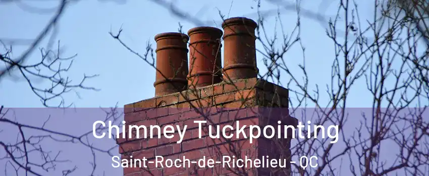  Chimney Tuckpointing Saint-Roch-de-Richelieu - QC