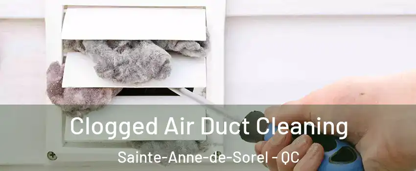  Clogged Air Duct Cleaning Sainte-Anne-de-Sorel - QC