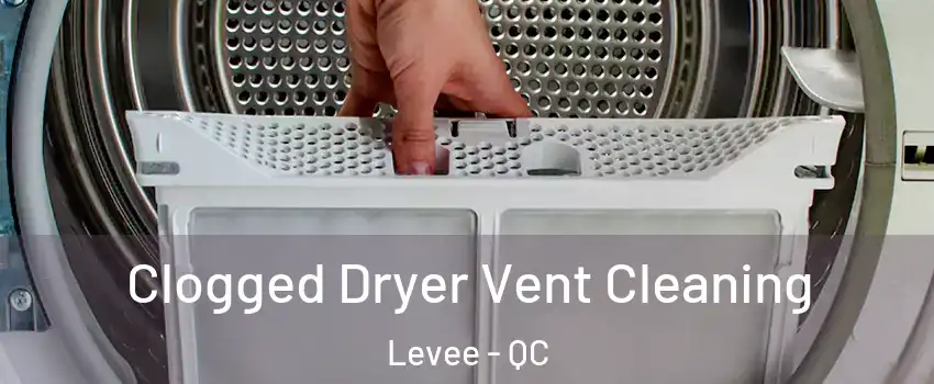  Clogged Dryer Vent Cleaning Levee - QC