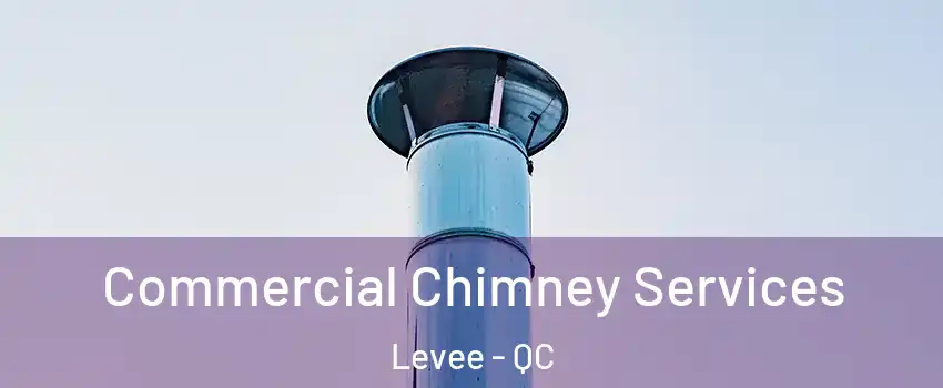  Commercial Chimney Services Levee - QC