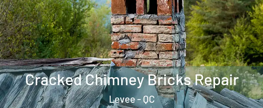  Cracked Chimney Bricks Repair Levee - QC