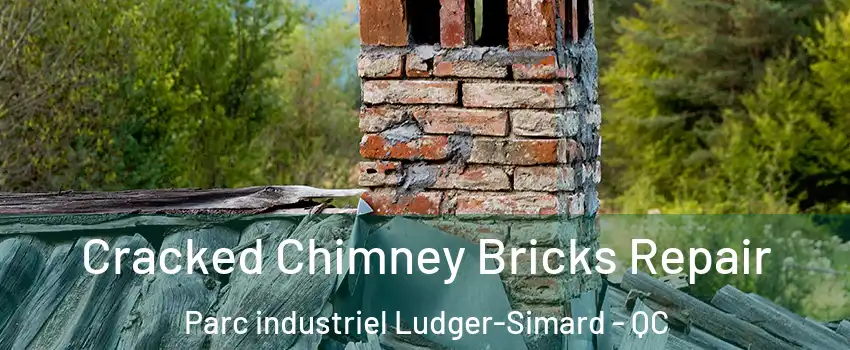  Cracked Chimney Bricks Repair Parc industriel Ludger-Simard - QC