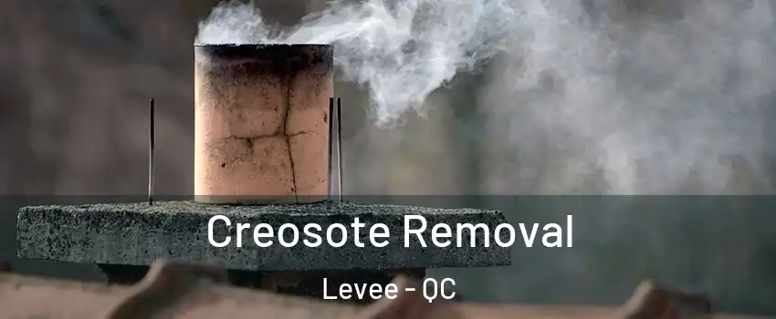  Creosote Removal Levee - QC