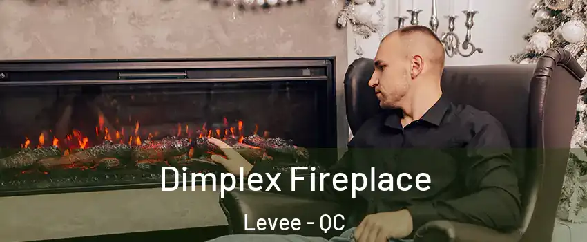  Dimplex Fireplace Levee - QC