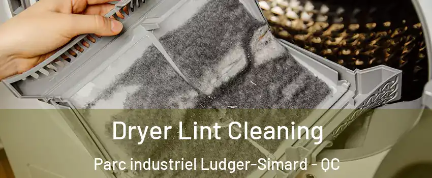  Dryer Lint Cleaning Parc industriel Ludger-Simard - QC