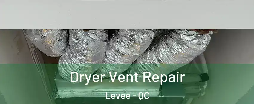  Dryer Vent Repair Levee - QC