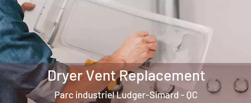  Dryer Vent Replacement Parc industriel Ludger-Simard - QC